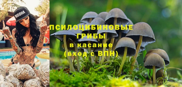 прущий лед Верея