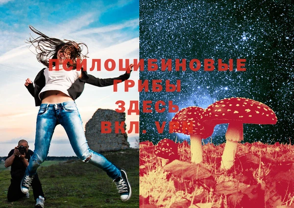 прущий лед Верея