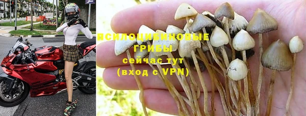 прущий лед Верея