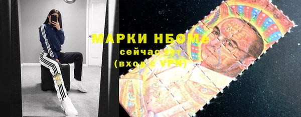 прущий лед Верея