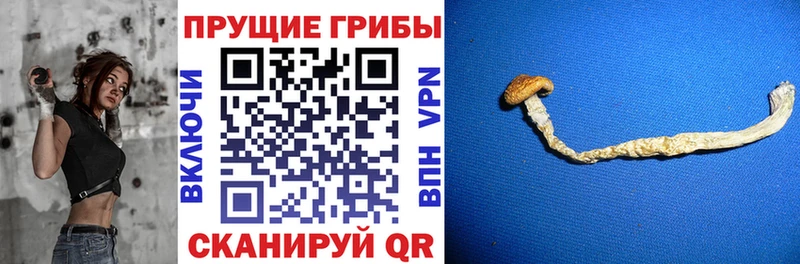 Псилоцибиновые грибы мухоморы  Рузаевка 