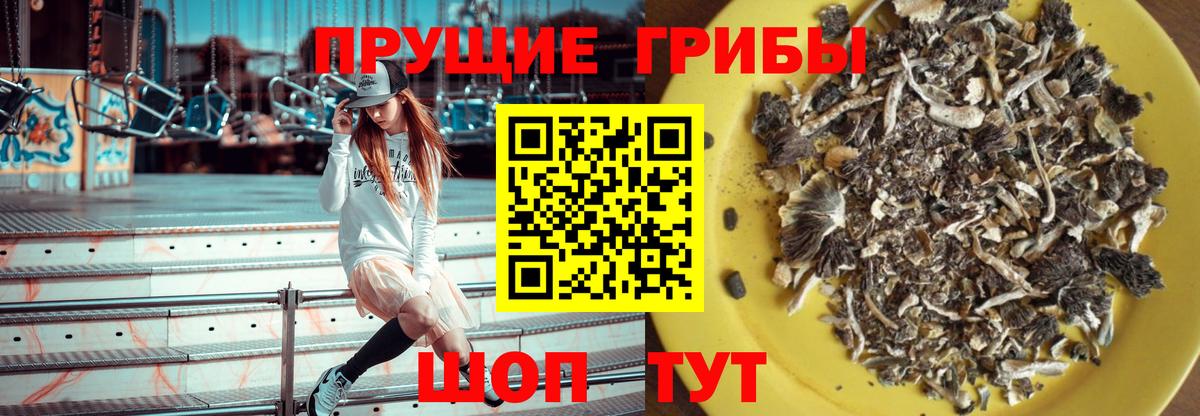 Галлюциногенные грибы Cubensis Рузаевка