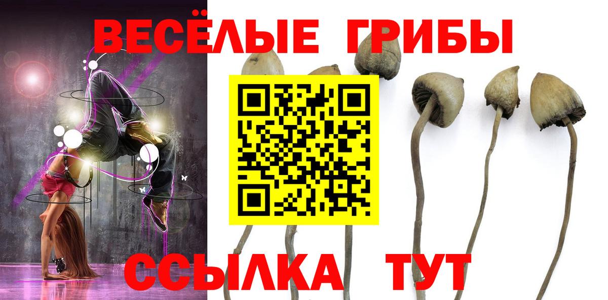 Галлюциногенные грибы прущие грибы  Вход с VPN  Рузаевка 